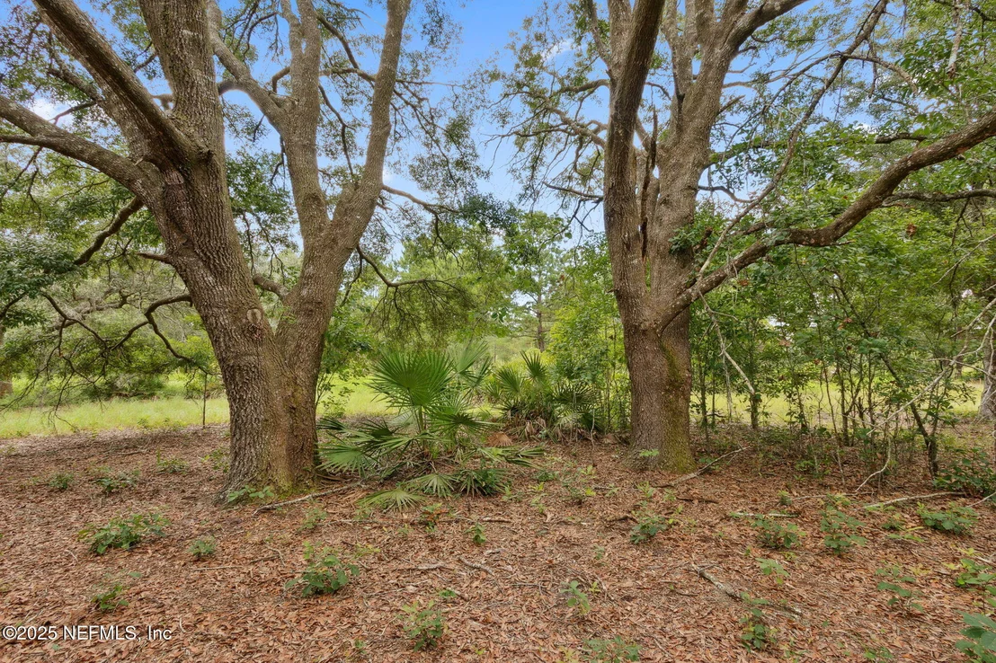 Photo of 37334 ALICE Street