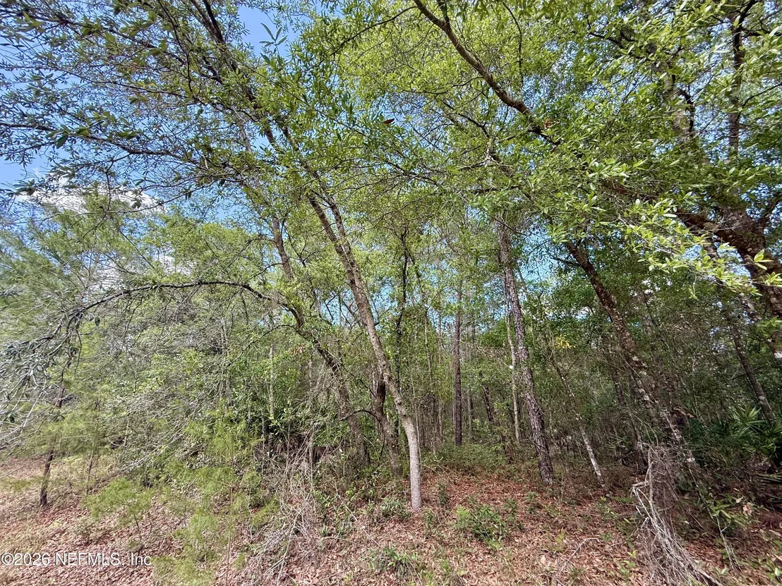 Photo of 0140 USINA Avenue