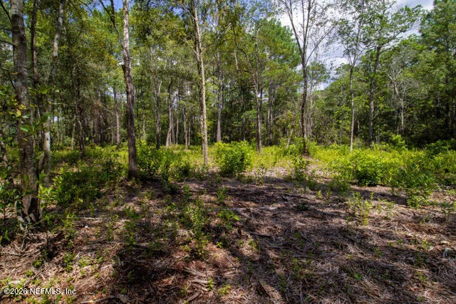 Photo of 4410 LORI LOOP Road