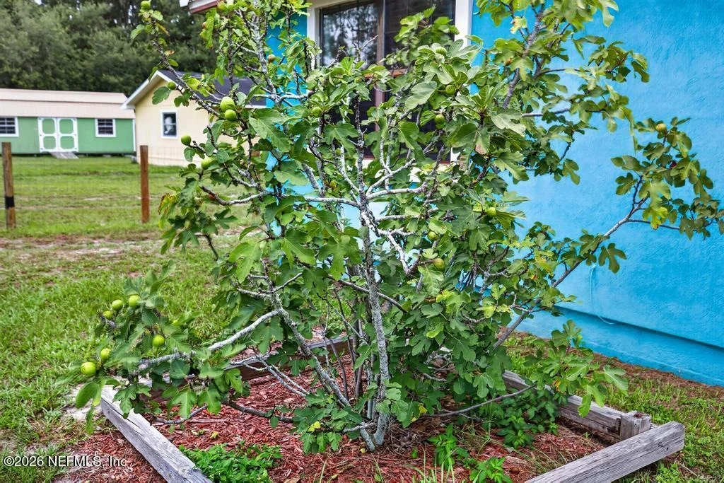 Photo of 254 OLD WOODS Road
