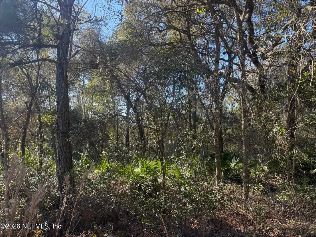Photo of 113 DOBY Drive