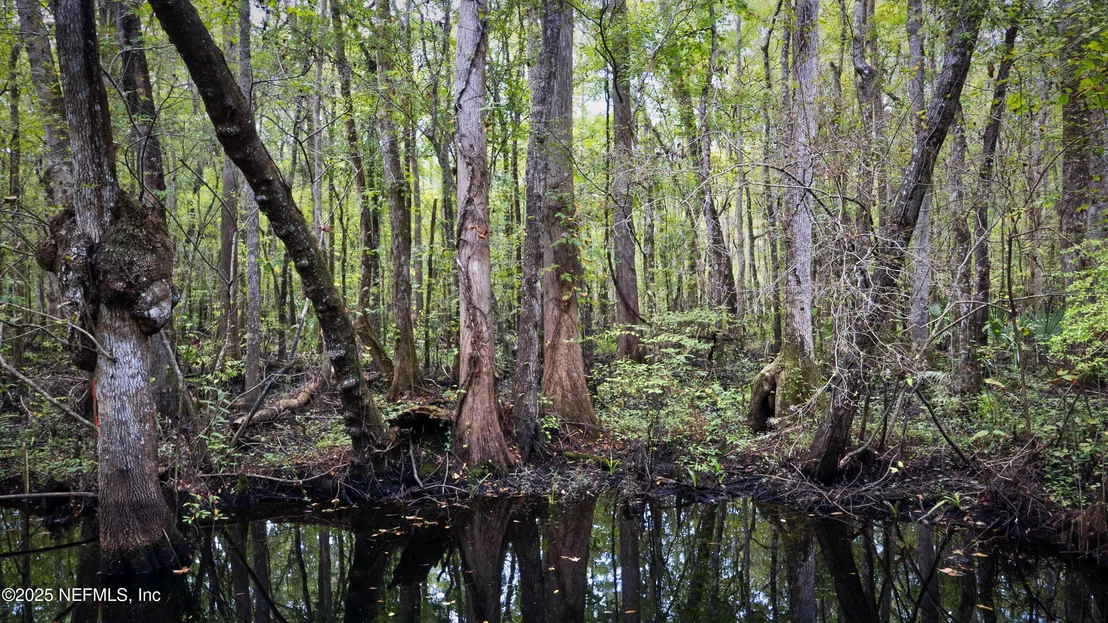 Photo of 36 BLUEGRASS Way