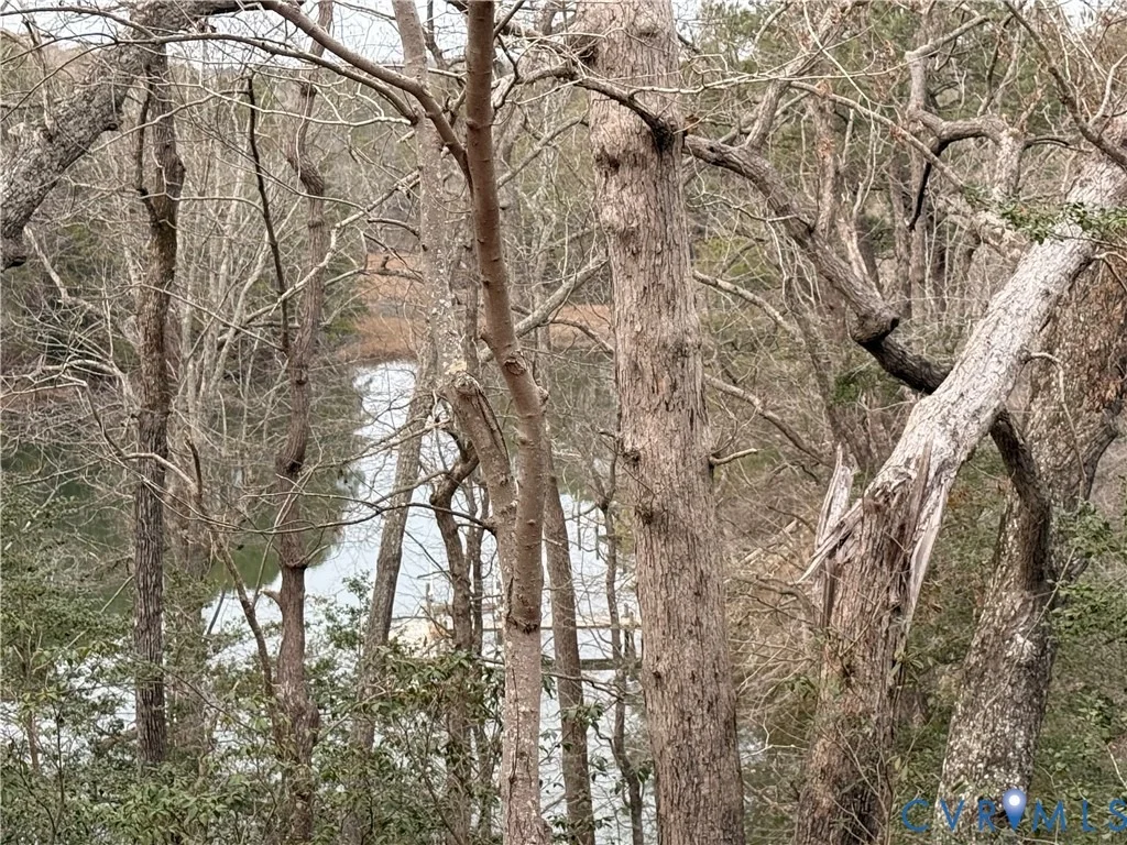 Photo of Lot 1 Merry Point Road