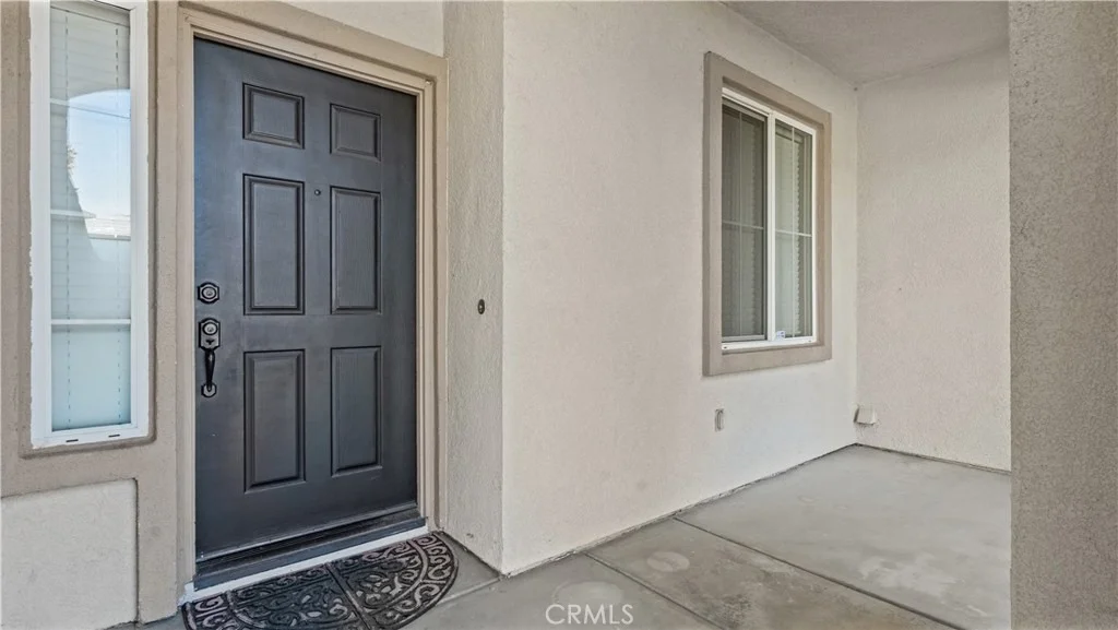 Photo of 29128 Blue Spruce
