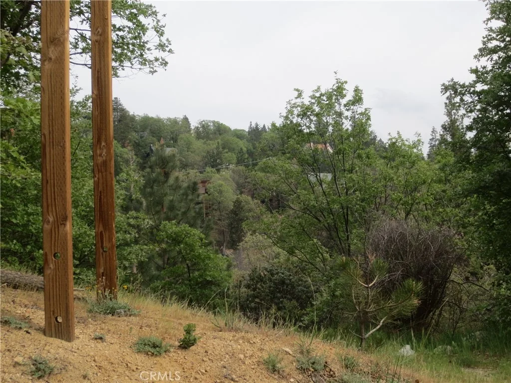 Photo of 0 Ca-173