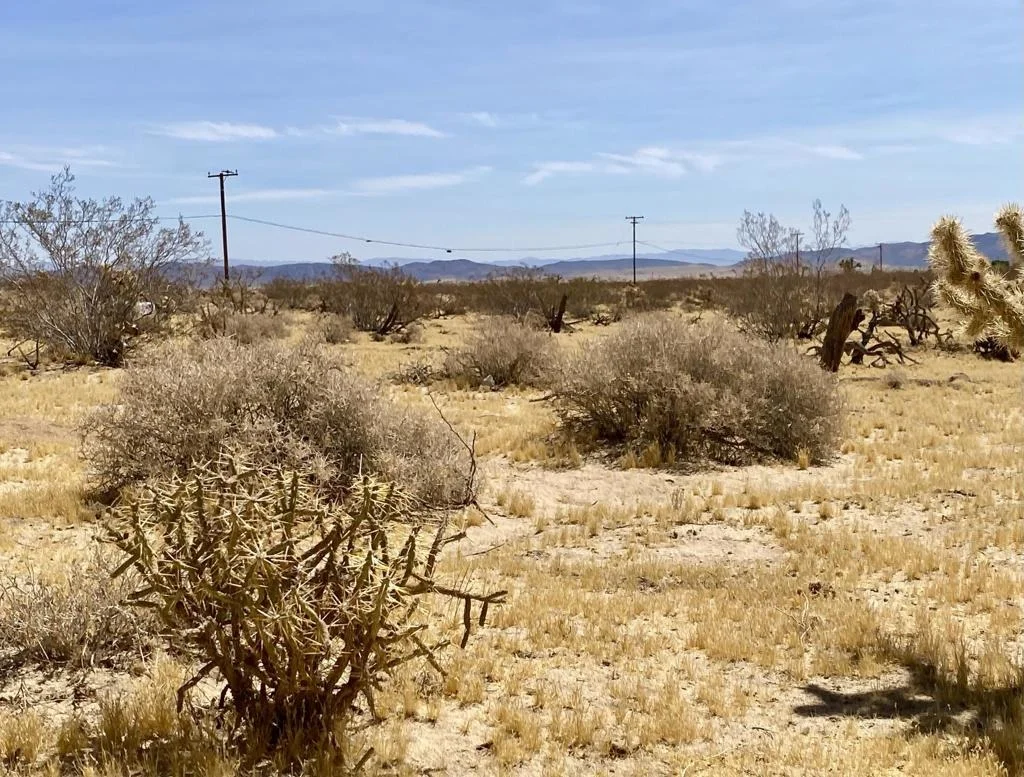 Photo of 62585 Two Mile Road