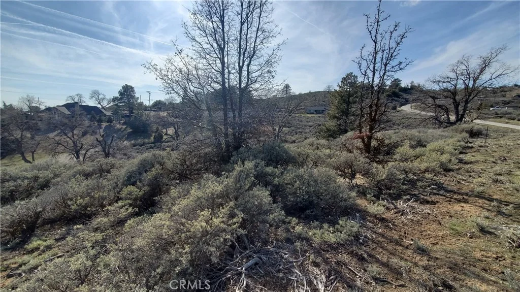 Photo of 25041 Jacaranda Drive