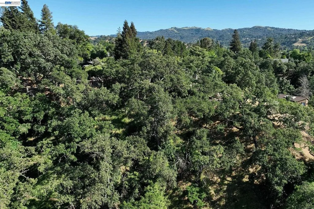 Photo of 247 Sequoia Ave