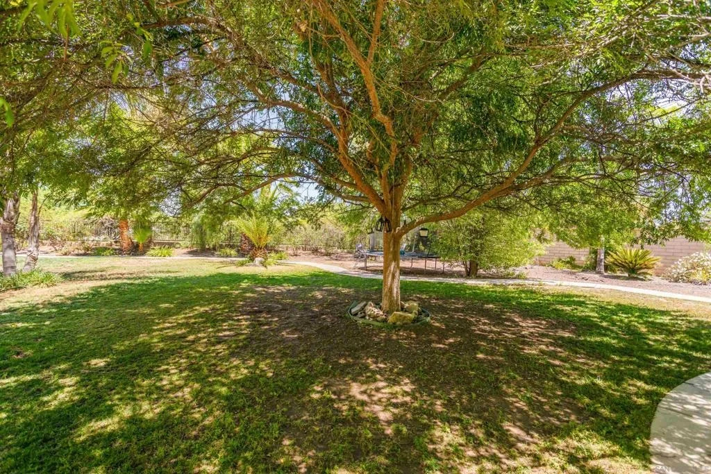 Photo of 32724 Salvia Circle