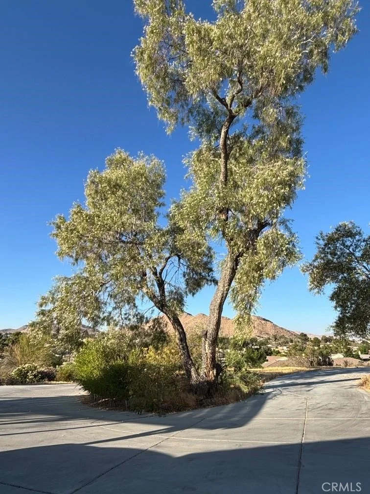 Photo of 15492 Lenca