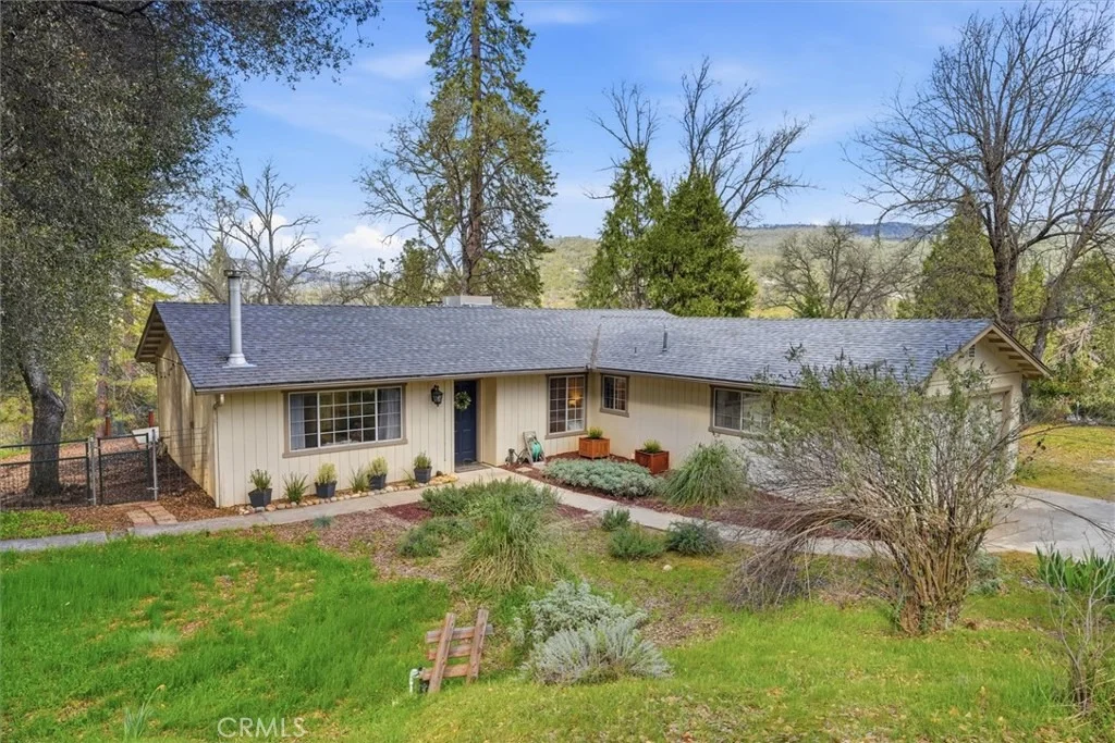 Photo of 50047 Hangtree