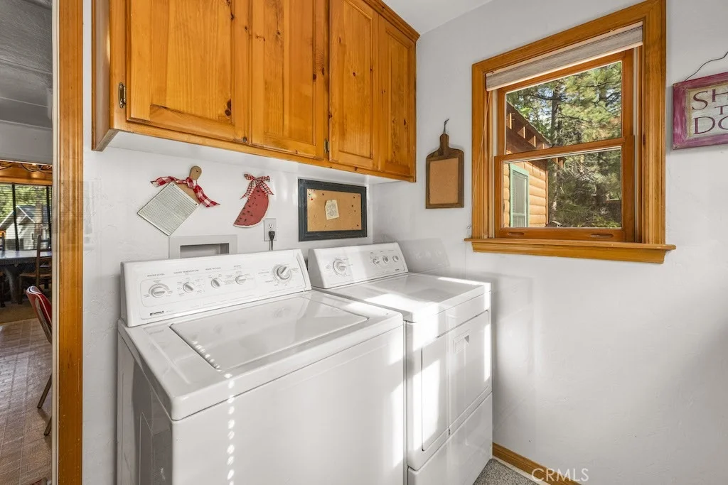 Photo of 39161 Buckthorn