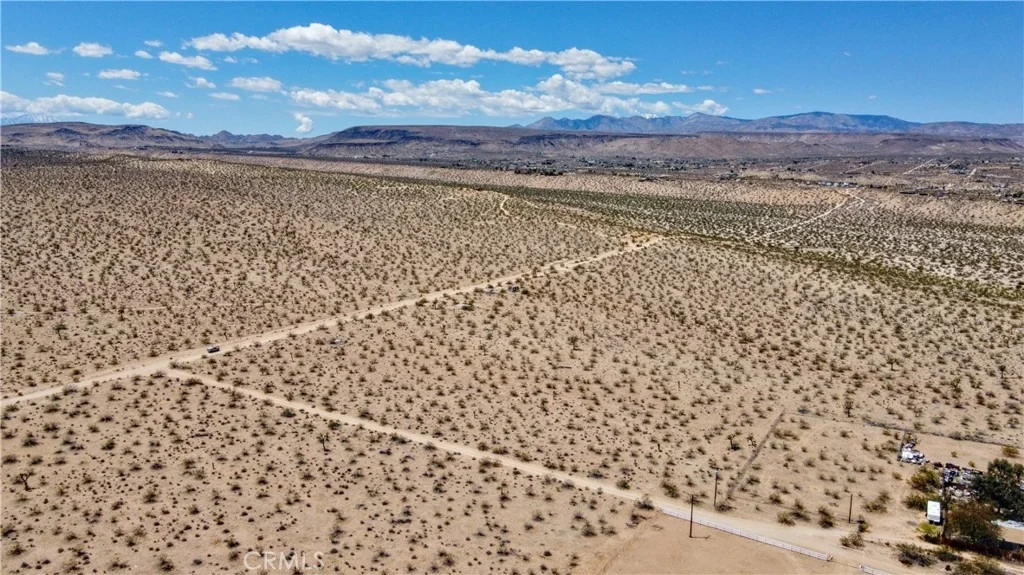 Photo of 888 Lucky Lane