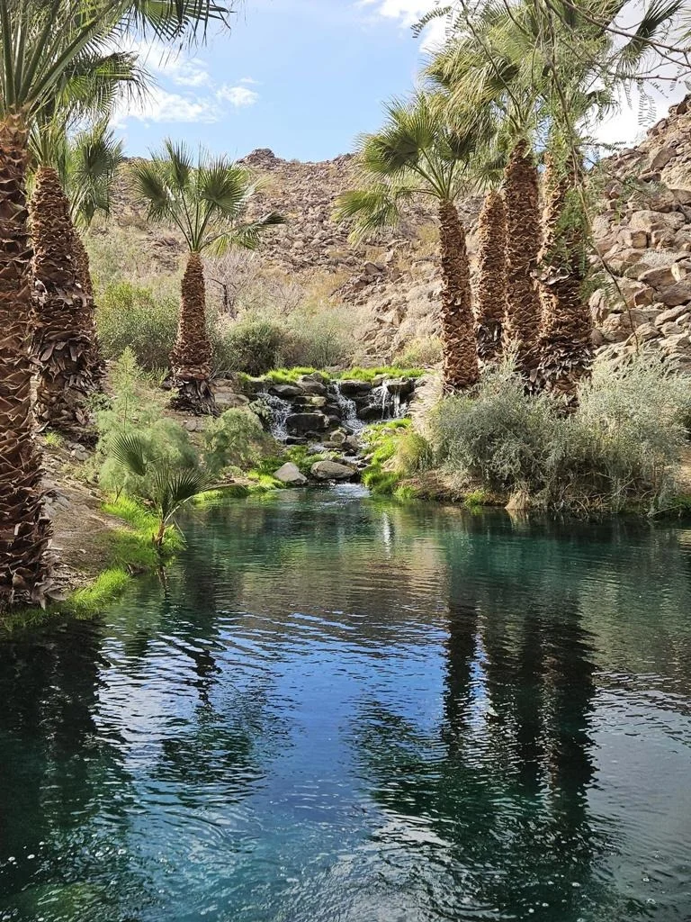 Photo of 48471 Old Stone Trail