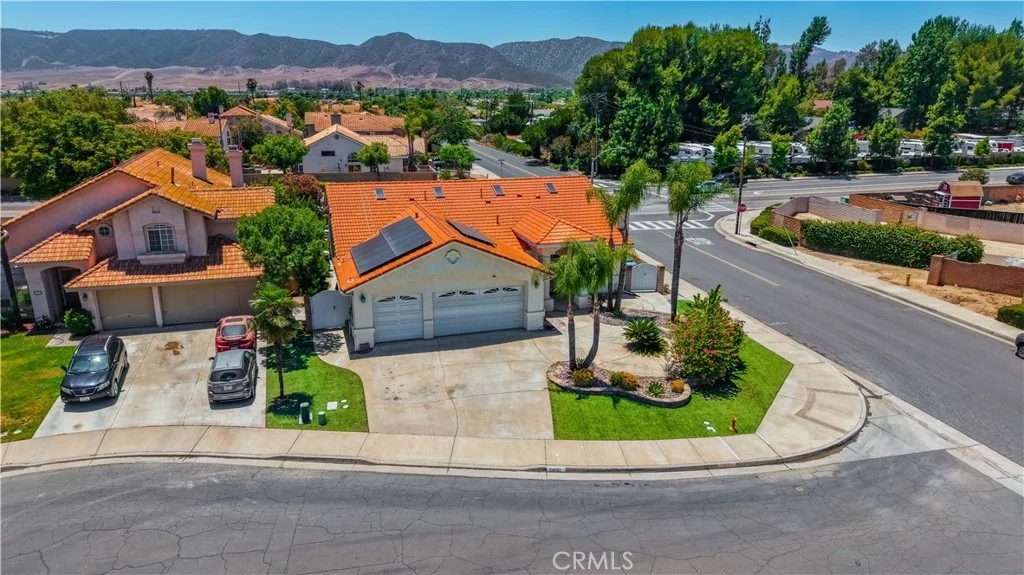 Photo of 24007 Jonquil