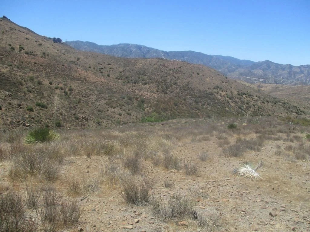Photo of 28 Hughes