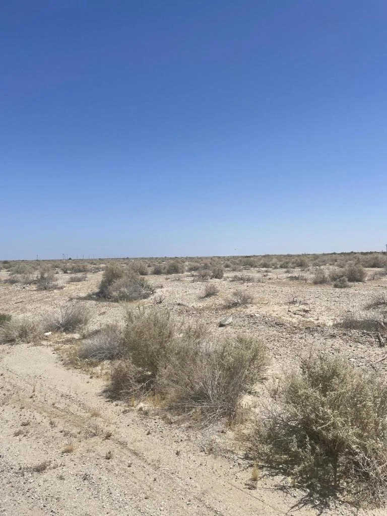 Photo of 817 Salton Drive