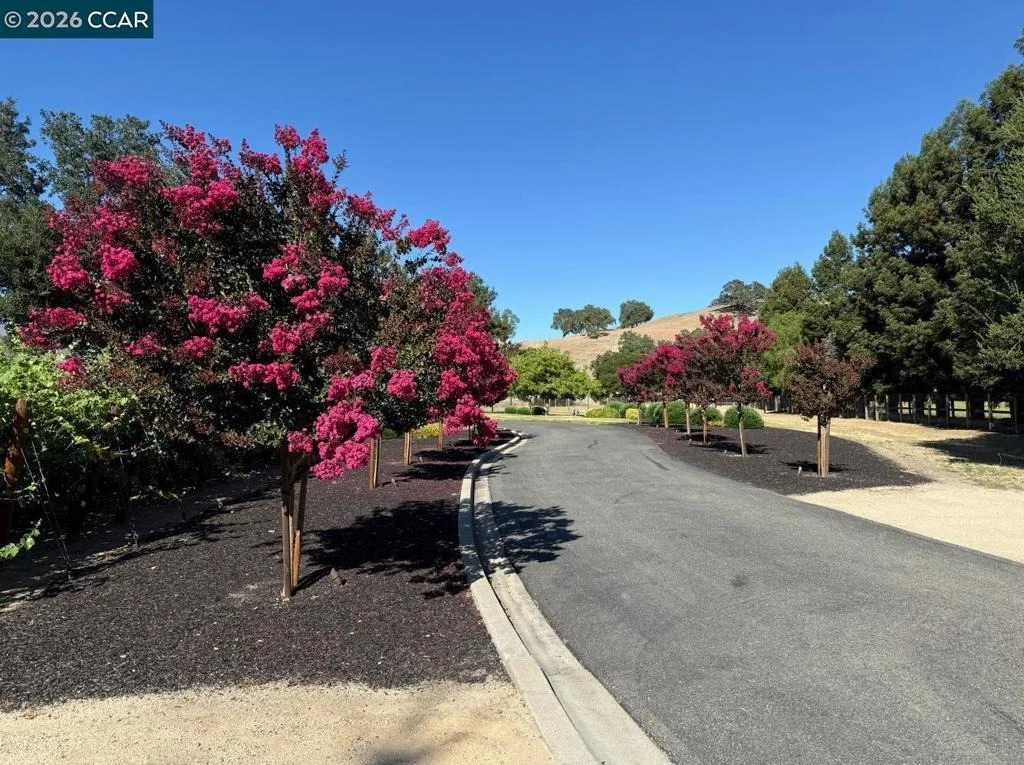 Photo of 5401 Penny Ln