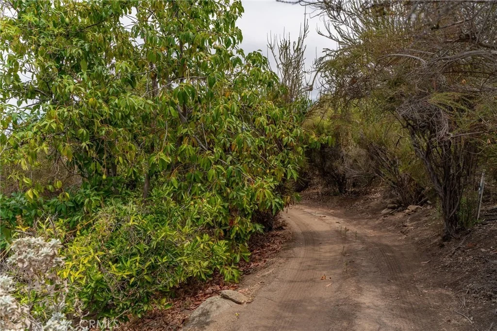 Photo of 28280 Rawlings Road