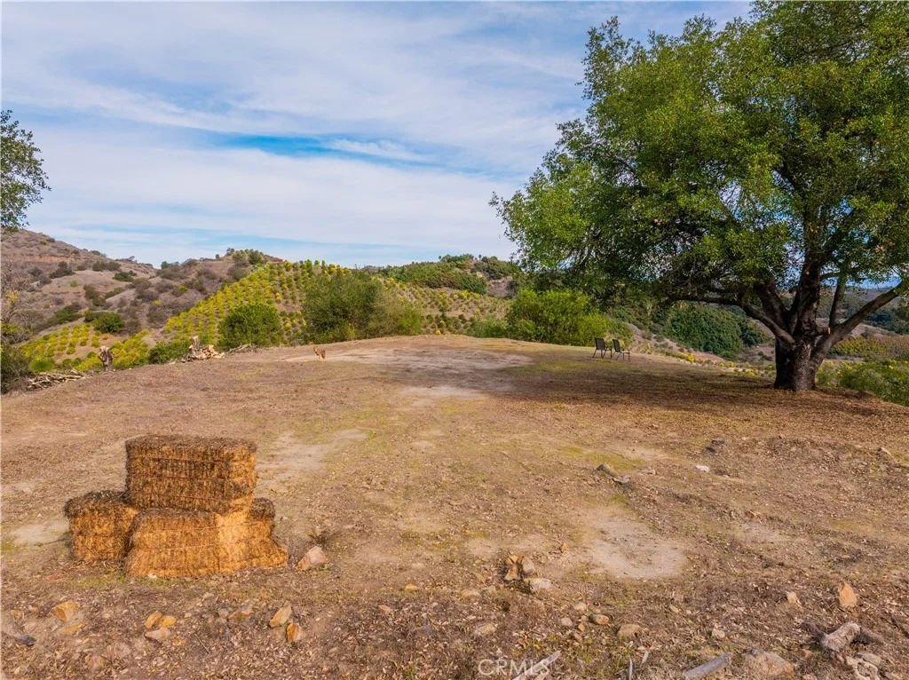 Photo of 46121 Avenida Tierra