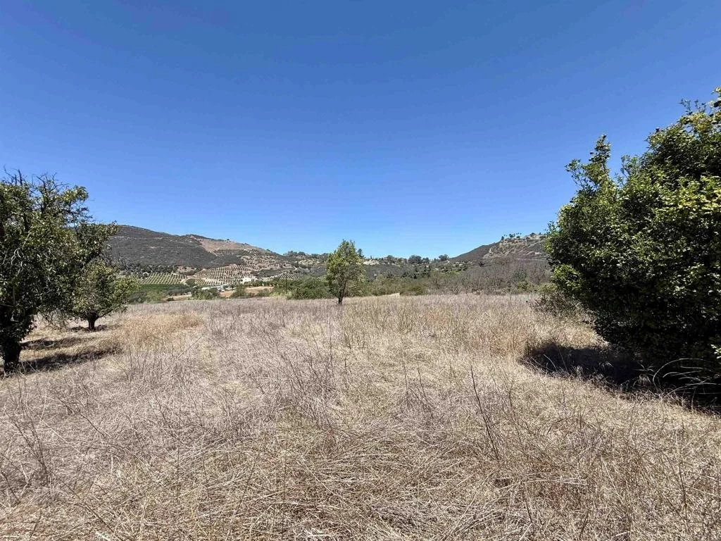 Photo of 9927 Modrigan Lane