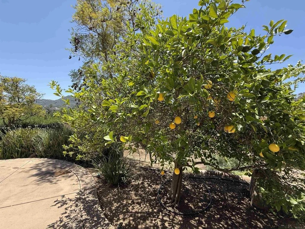 Photo of 2527 Southern Oak Road