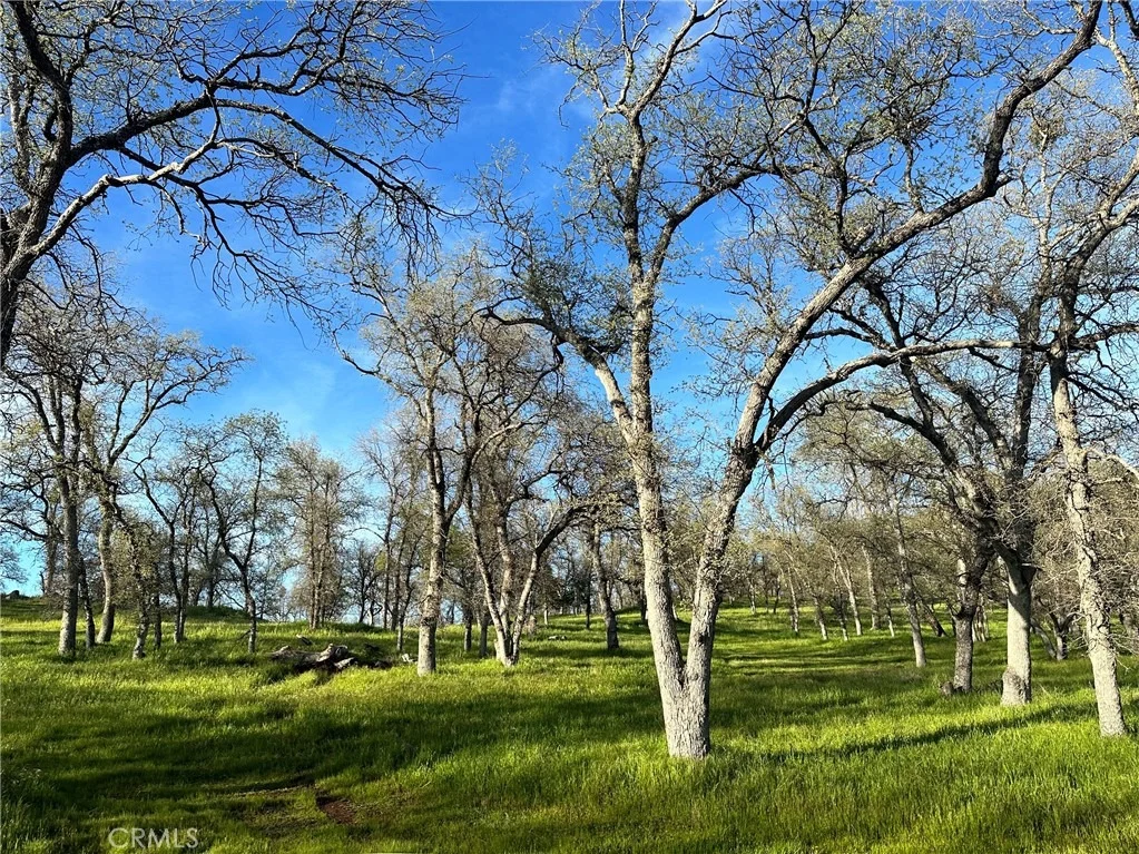Photo of 18461 Old Wards Ferry Road