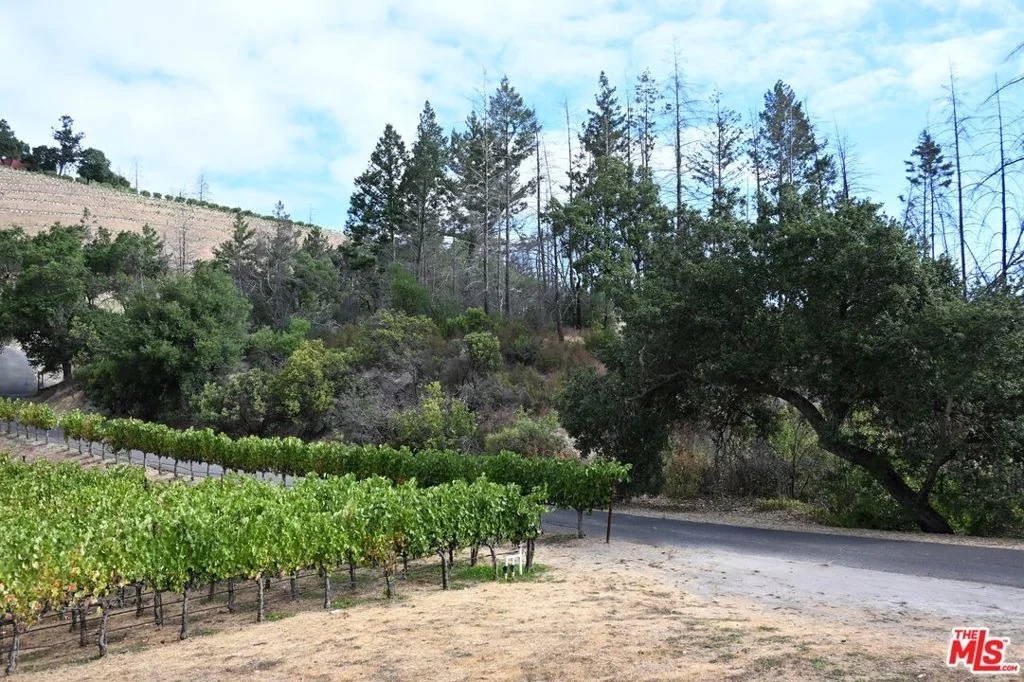 Photo of 2910 Spring Mountain Road