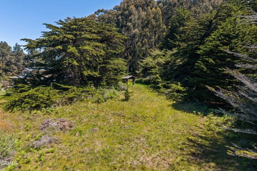 Photo of 26950 California 1