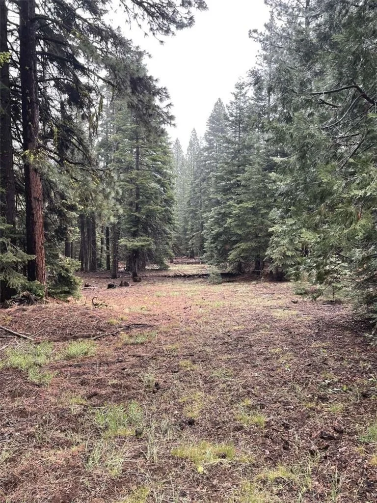 Photo of 0 Range Road