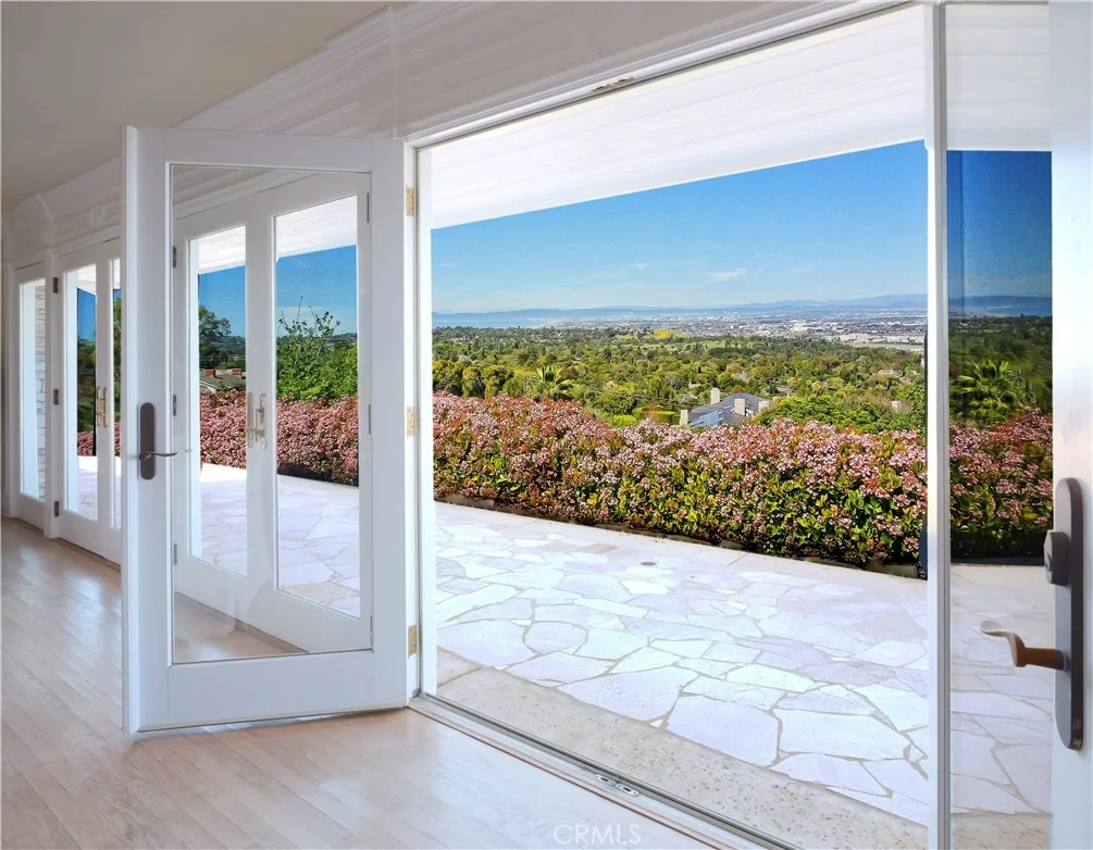 Photo of 49 Saddleback