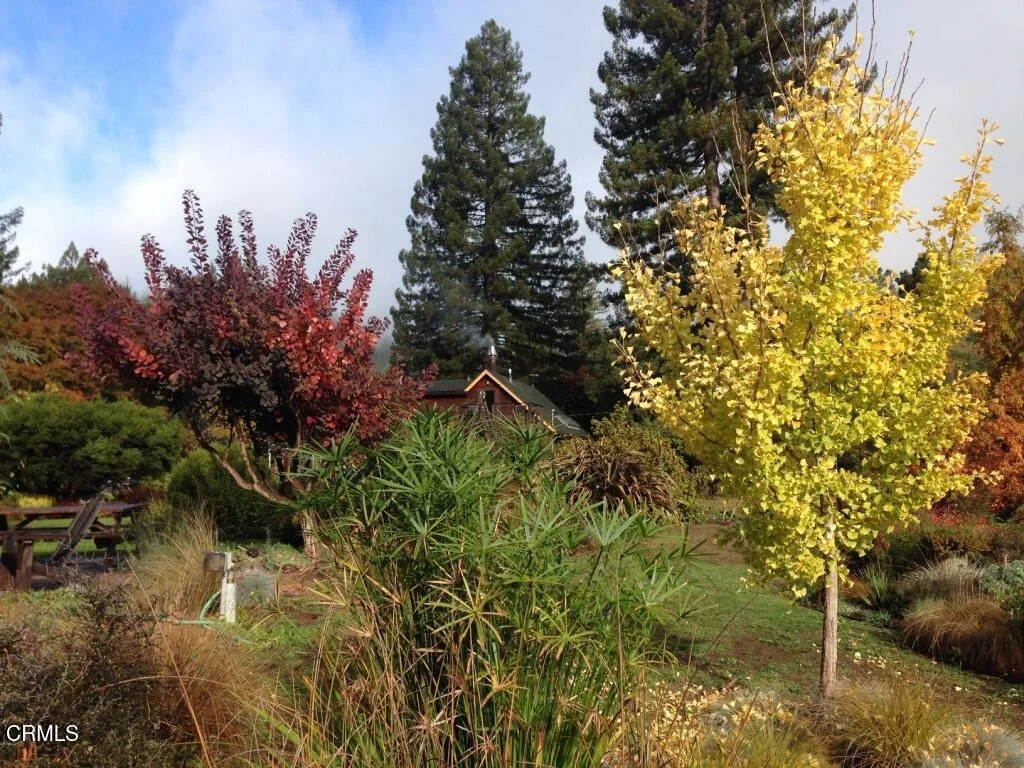 Photo of 31501 Comptche Ukiah Road