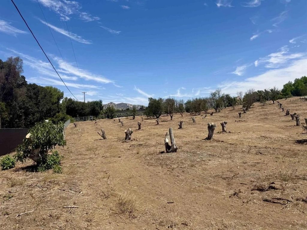 Photo of Canyon Heights Road