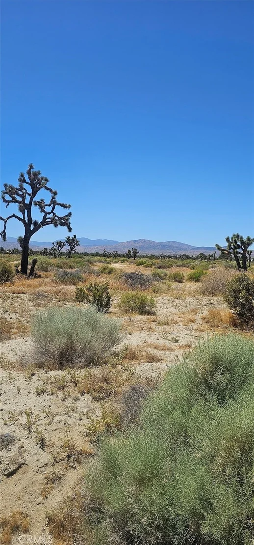 Photo of 0 E Palmdale Boulevard