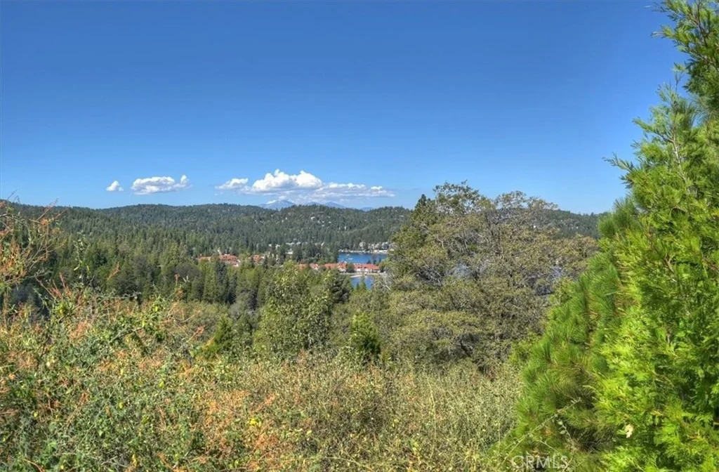 Photo of 202 Hidden Forest