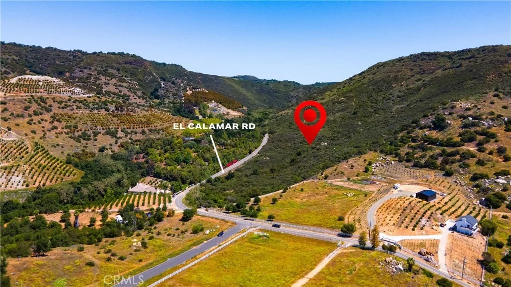 Photo of 0 El Calamar