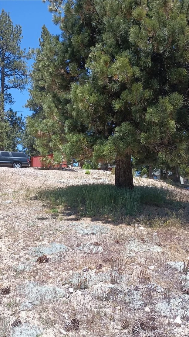 Photo of 39237 Crest Lane