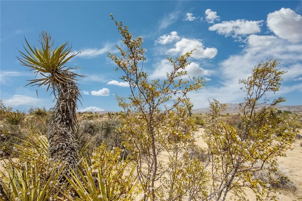 Photo of 61246 Melton Trail