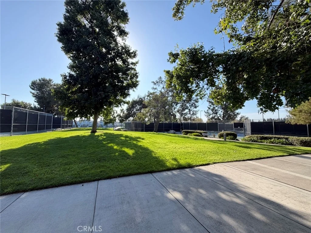 Photo of 32 Spinnaker