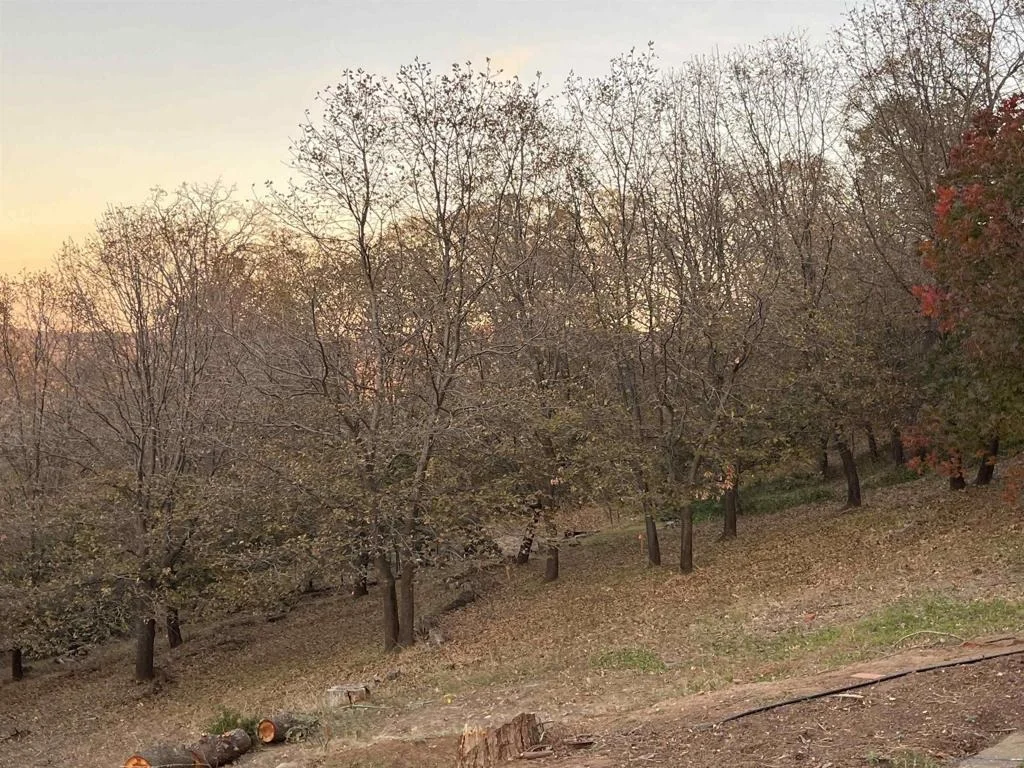 Photo of 4129 Eagle Peak