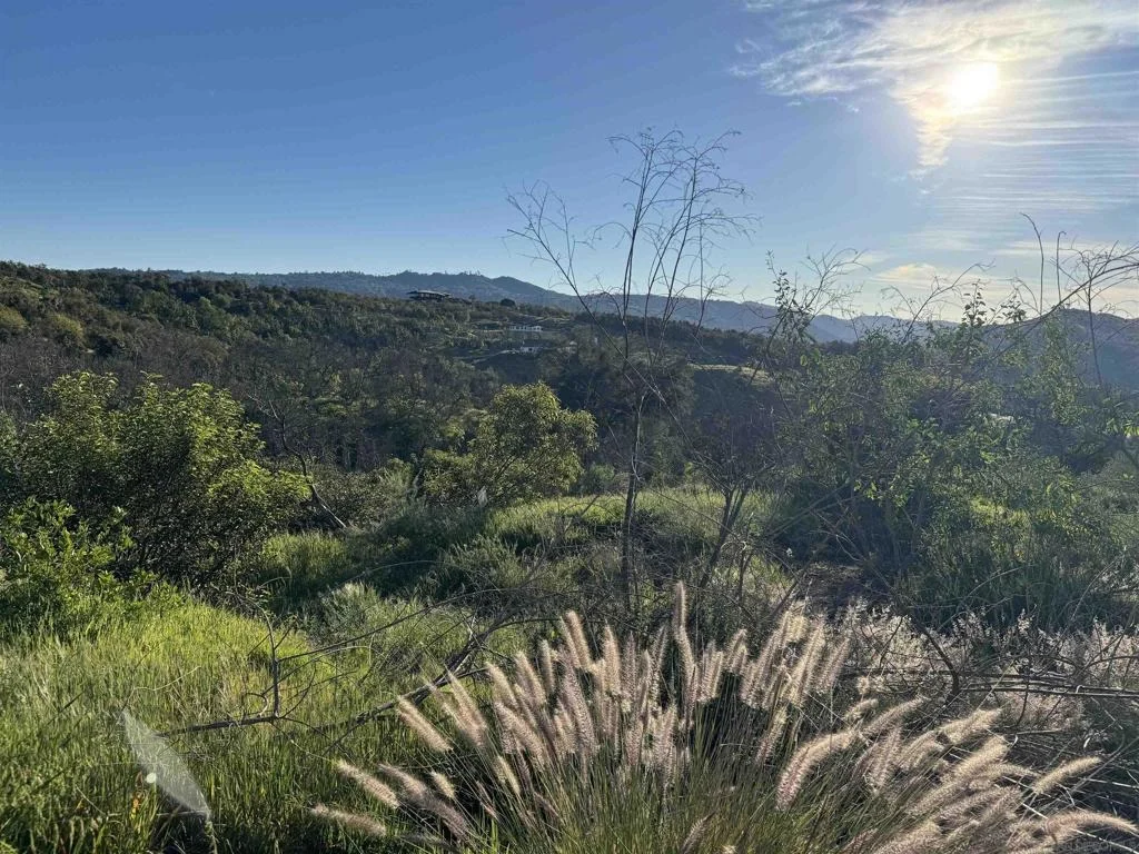 Photo of 30421 Castle Crest