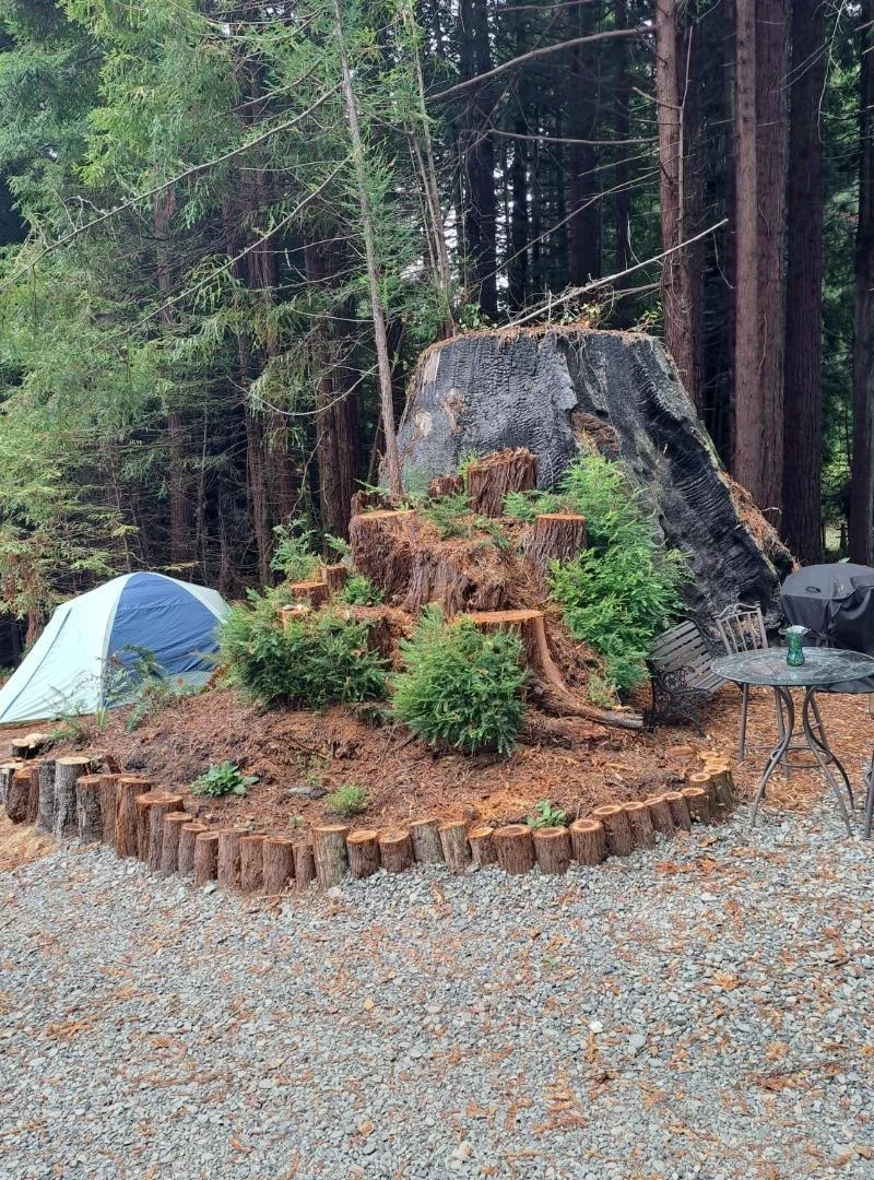 Photo of 3119 Hillside Drive
