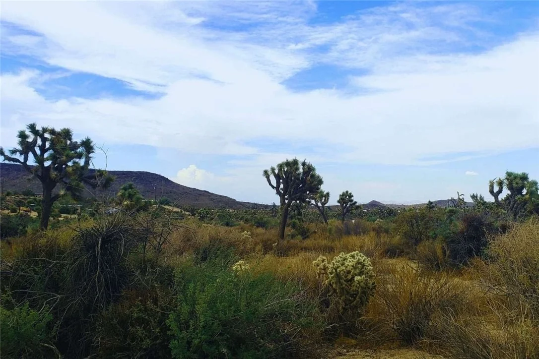 Photo of 56200 Skyline Ranch Road