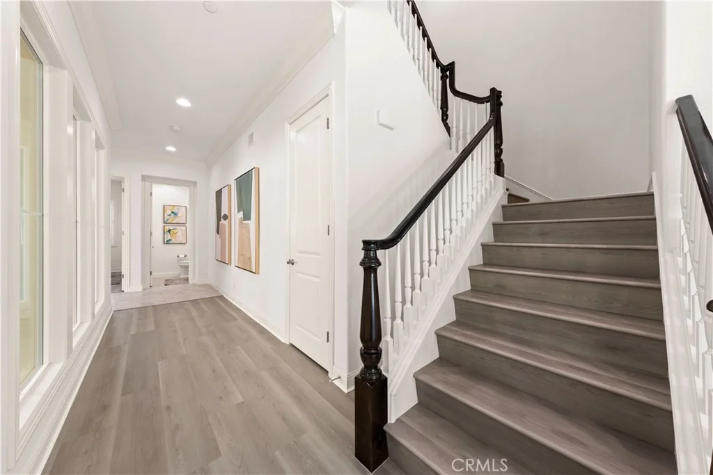 Photo of 17 Swift