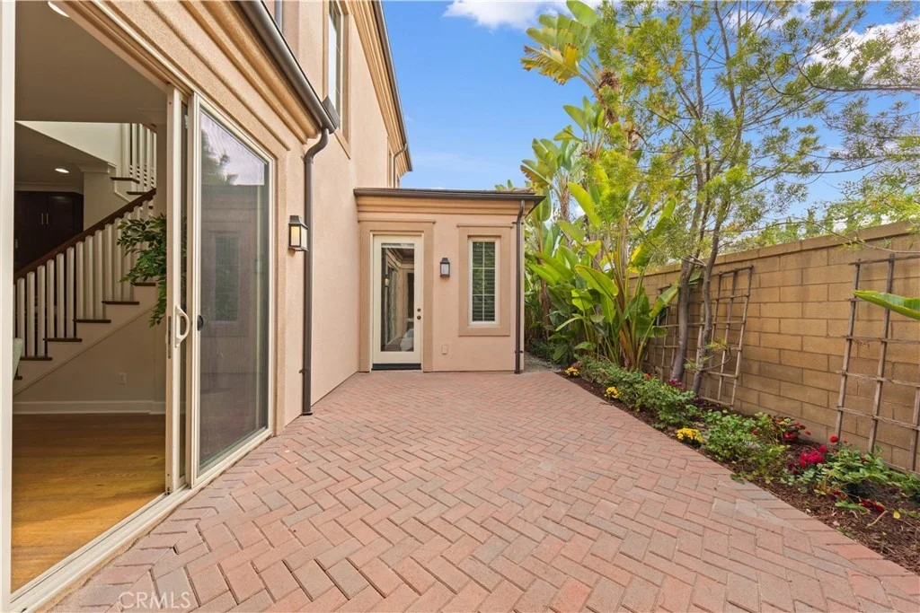 Photo of 79 Honeyflower