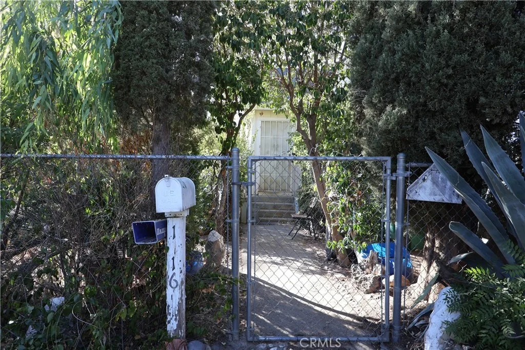 Photo of 1216 Pear