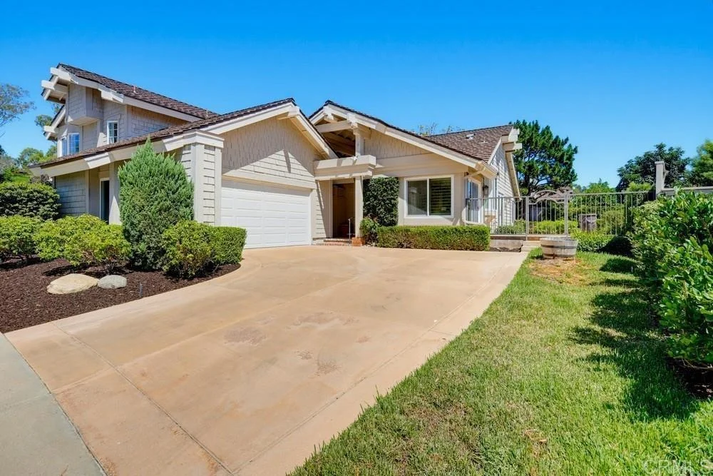 Photo of 3 Sunrose
