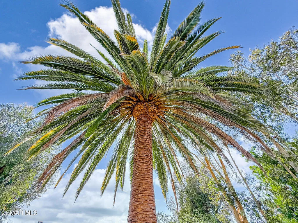 Photo of 3571 Avenida Verano