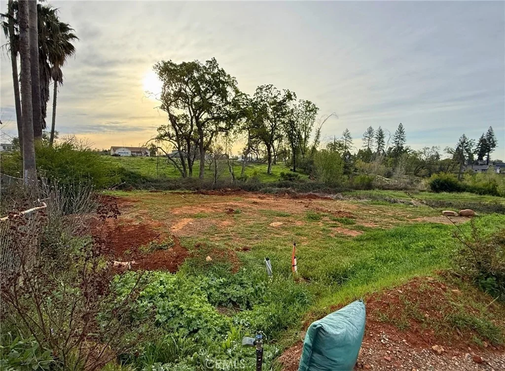 Photo of 5564 & 5556 Foster Road