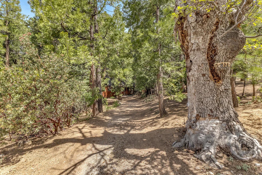 Photo of 55170 Daryll Road